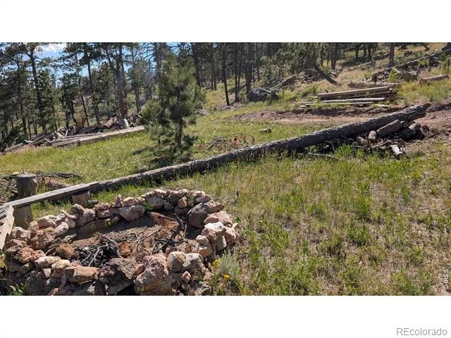 0 Old Camp Road Bellvue, CO 80512