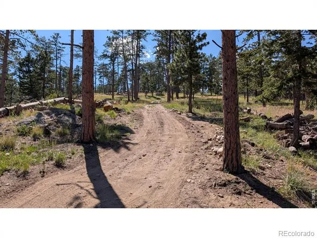 0 Old Camp Road Bellvue, CO 80512