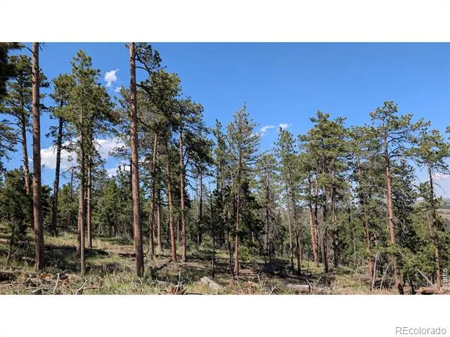 0 Old Camp Road Bellvue, CO 80512