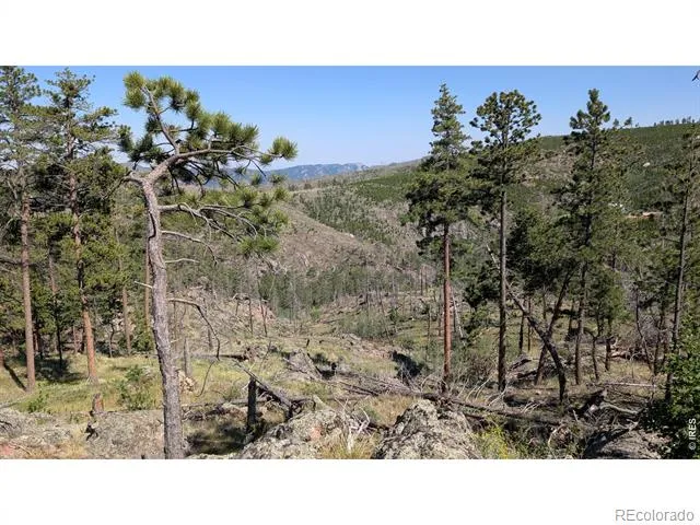 0 Old Camp Road Bellvue, CO 80512