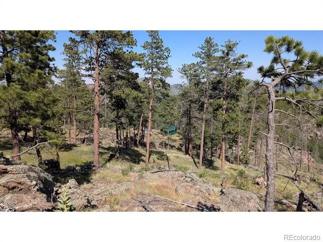 0 Old Camp Road Bellvue, CO 80512