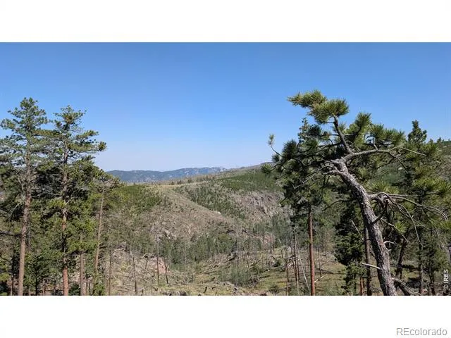 0 Old Camp Road Bellvue, CO 80512