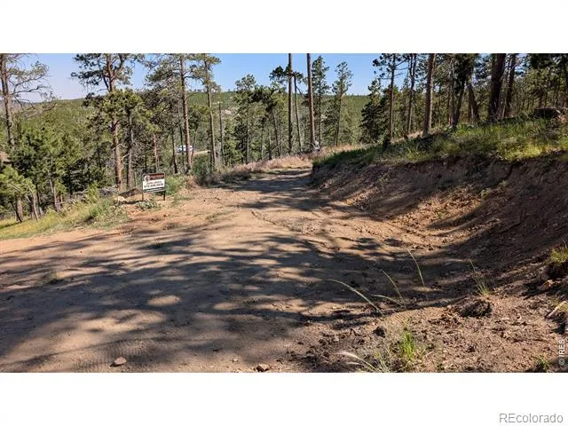0 Old Camp Road Bellvue, CO 80512