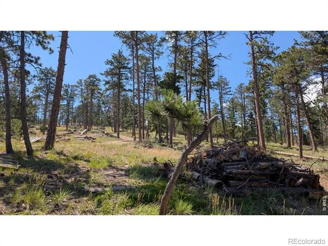 0 Old Camp Road Bellvue, CO 80512