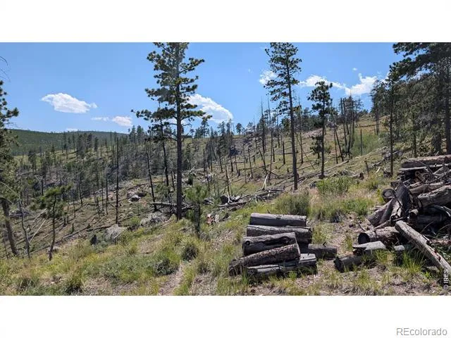 0 Old Camp Road Bellvue, CO 80512