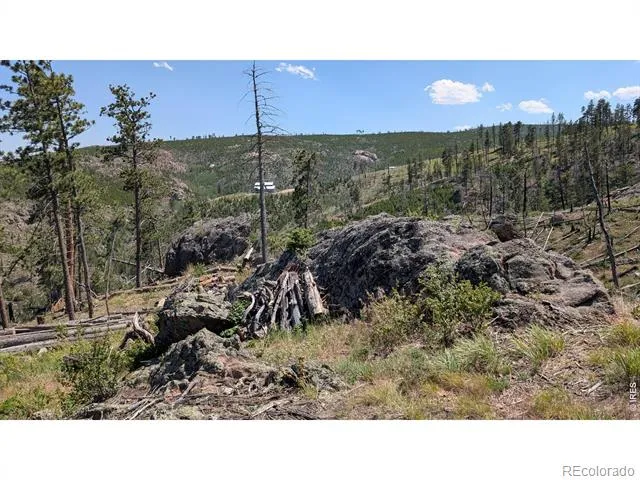 0 Old Camp Road Bellvue, CO 80512