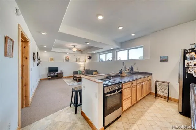 13781 Schoger Road Nathrop, CO 81236