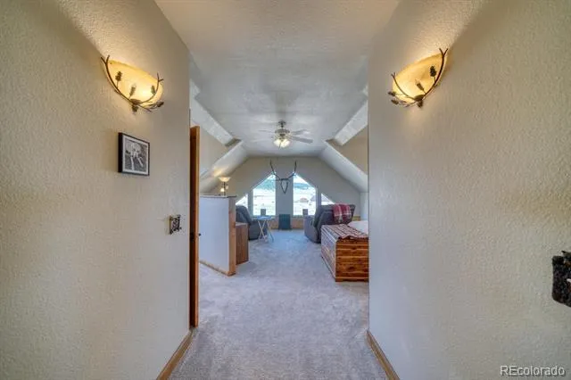 13781 Schoger Road Nathrop, CO 81236