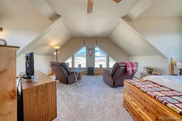13781 Schoger Road Nathrop, CO 81236