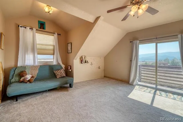 13781 Schoger Road Nathrop, CO 81236