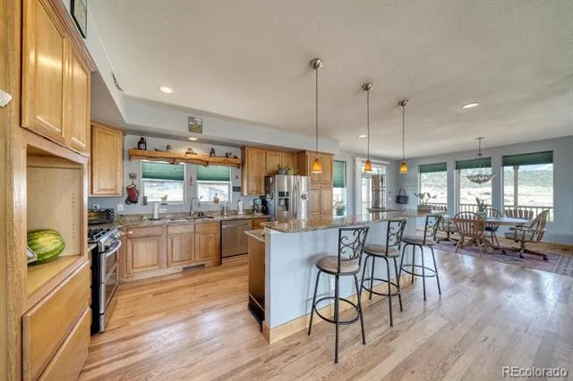 13781 Schoger Road Nathrop, CO 81236