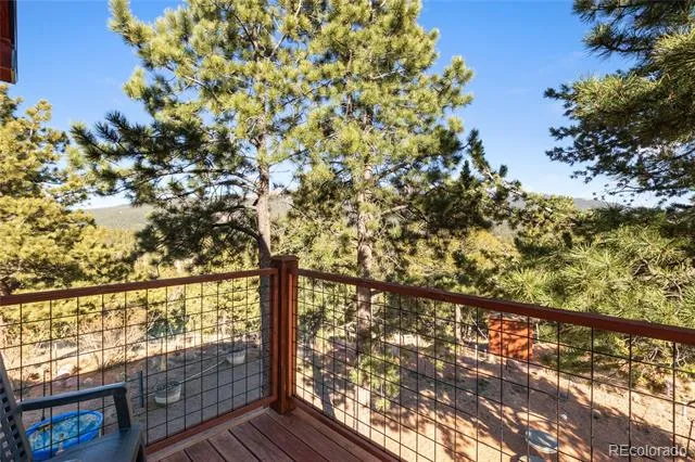 714 Woodrock Way Divide, CO 80814