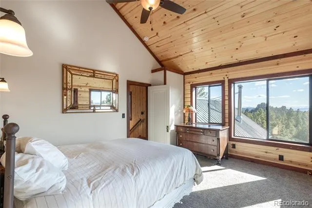 714 Woodrock Way Divide, CO 80814