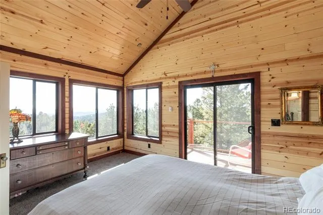 714 Woodrock Way Divide, CO 80814