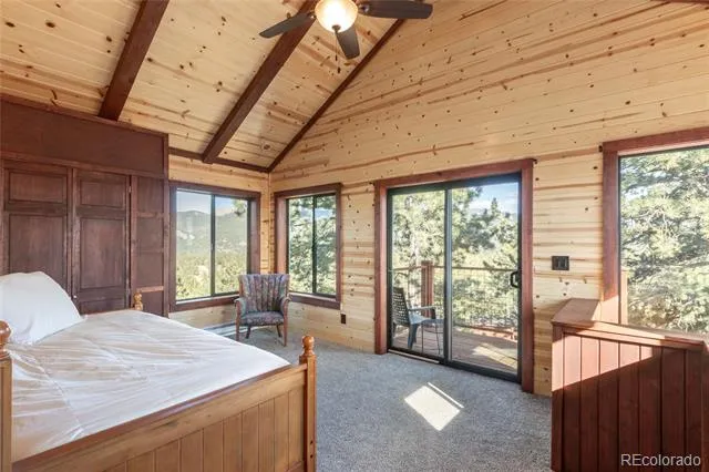 714 Woodrock Way Divide, CO 80814