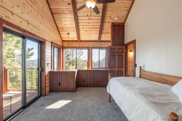 714 Woodrock Way Divide, CO 80814