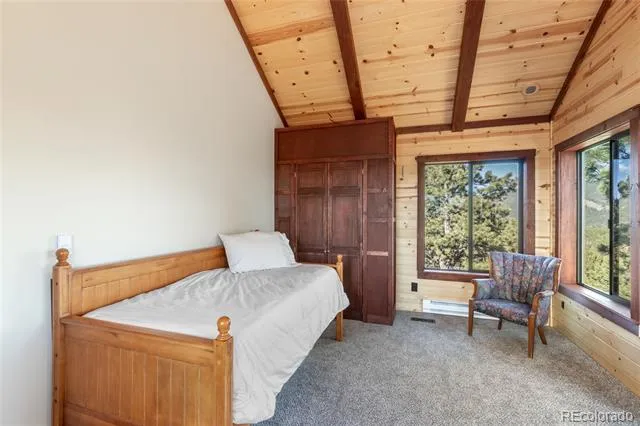 714 Woodrock Way Divide, CO 80814