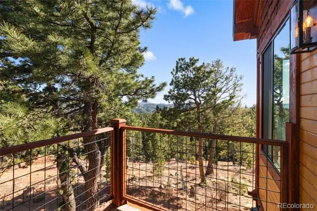 714 Woodrock Way Divide, CO 80814