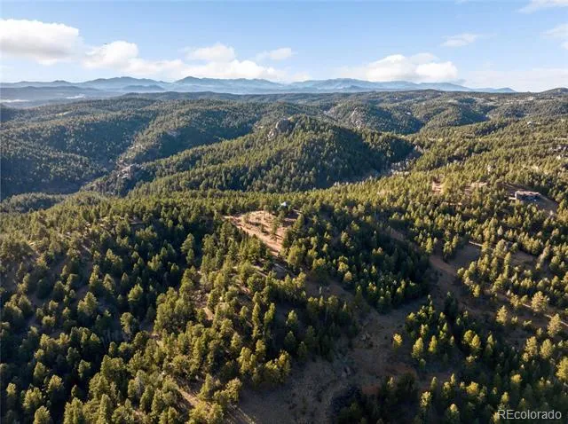 714 Woodrock Way Divide, CO 80814