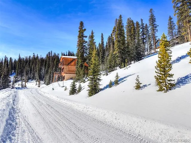 513 Carroll Lane Breckenridge, CO 80424