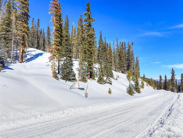 513 Carroll Lane Breckenridge, CO 80424