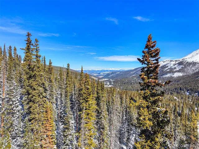 513 Carroll Lane Breckenridge, CO 80424