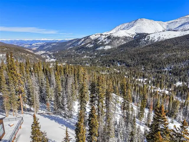 513 Carroll Lane Breckenridge, CO 80424