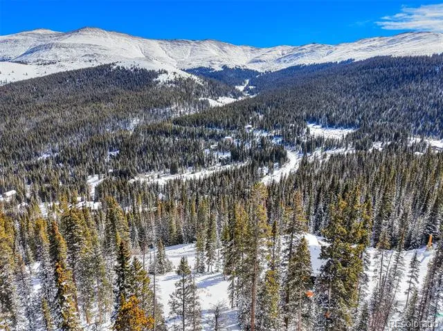 513 Carroll Lane Breckenridge, CO 80424