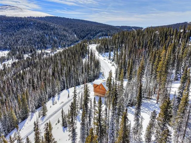 513 Carroll Lane Breckenridge, CO 80424