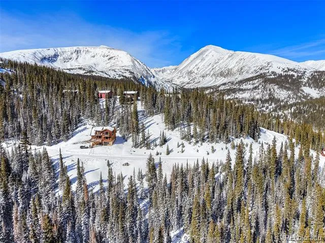 513 Carroll Lane Breckenridge, CO 80424