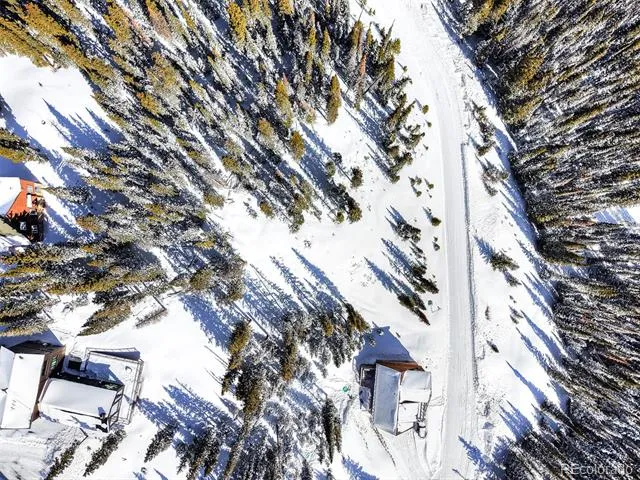 513 Carroll Lane Breckenridge, CO 80424