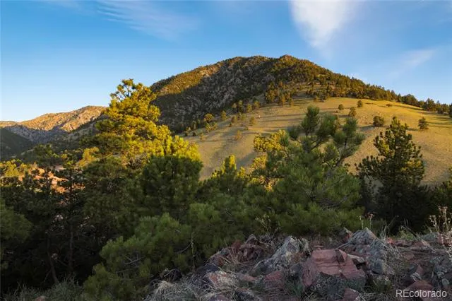 46 Canyon Pines Drive Arvada, CO 80403
