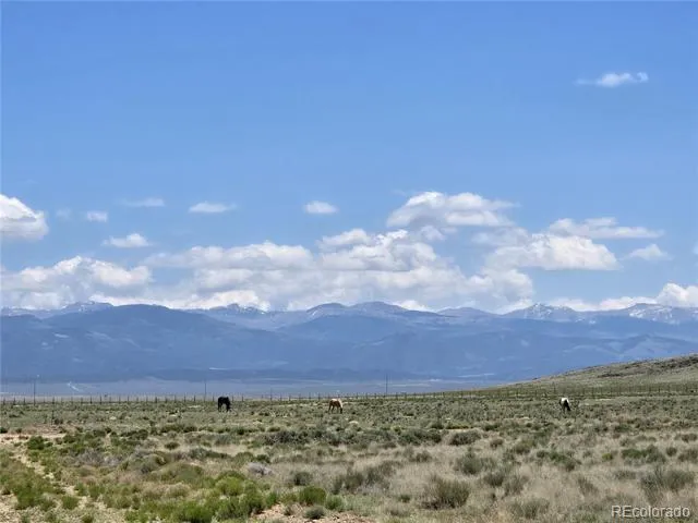 South 8th Street Lot 7 Blanca, CO 81133