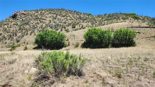 TBD L 35th Trail Cotopaxi, CO 81223