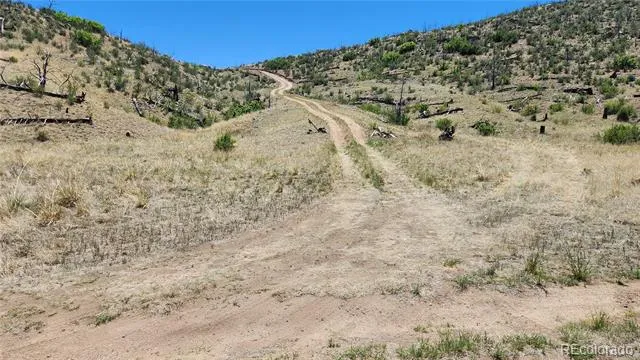 TBD L 35th Trail Cotopaxi, CO 81223