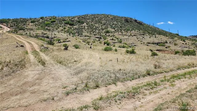 TBD L 35th Trail Cotopaxi, CO 81223