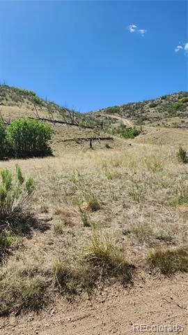 TBD L 35th Trail Cotopaxi, CO 81223