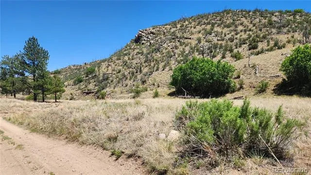 TBD L 35th Trail Cotopaxi, CO 81223