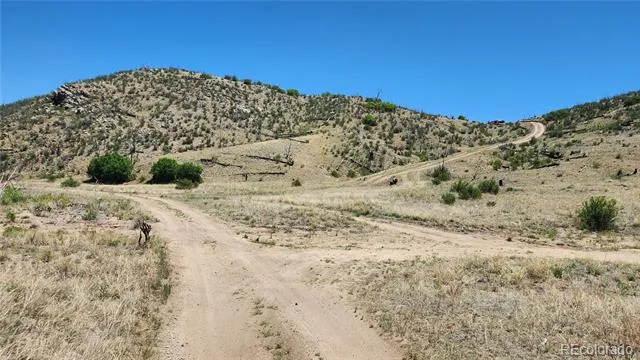 TBD L 35th Trail Cotopaxi, CO 81223
