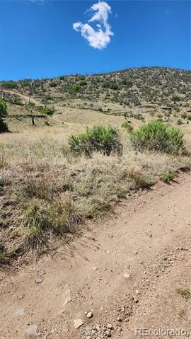 TBD L 35th Trail Cotopaxi, CO 81223