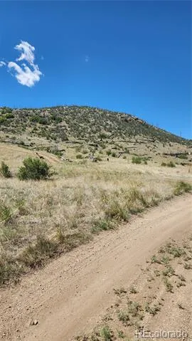TBD L 35th Trail Cotopaxi, CO 81223