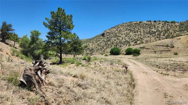 TBD L 35th Trail Cotopaxi, CO 81223