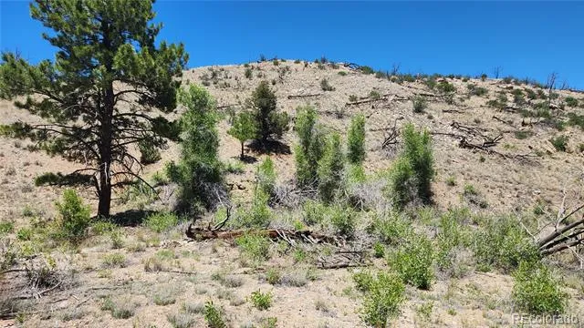 TBD L 35th Trail Cotopaxi, CO 81223