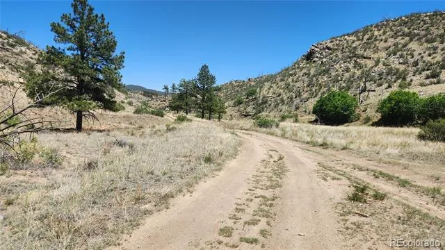 TBD L 35th Trail Cotopaxi, CO 81223