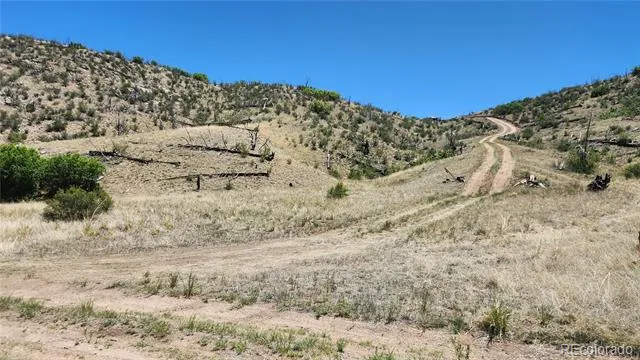 TBD L 35th Trail Cotopaxi, CO 81223