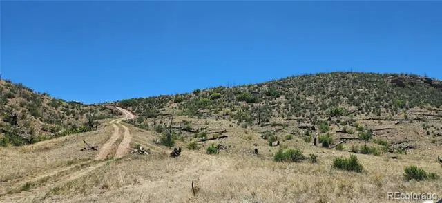 TBD L 35th Trail Cotopaxi, CO 81223