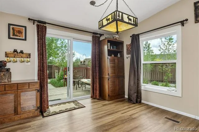 201 Larissa Lane Buena Vista, CO 81211
