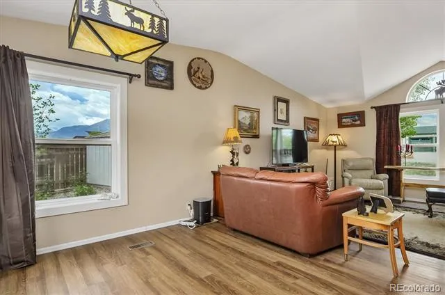 201 Larissa Lane Buena Vista, CO 81211
