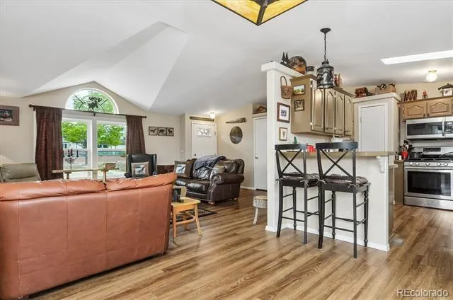 201 Larissa Lane Buena Vista, CO 81211