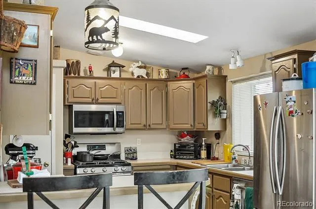 201 Larissa Lane Buena Vista, CO 81211